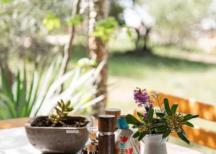 컨트리하우스 Magda 무르테르