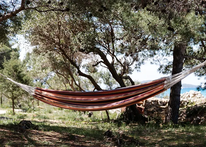 Magda * ムルテル